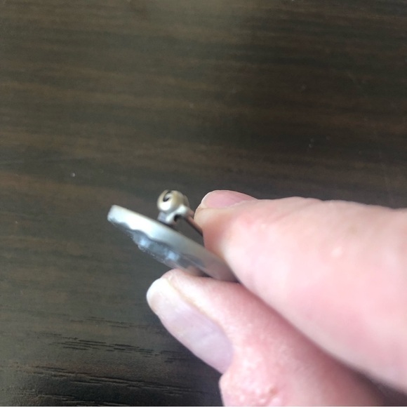 Welsh Terrier Rawcliffe Pewter Pin 1983 - Picture 4 of 4